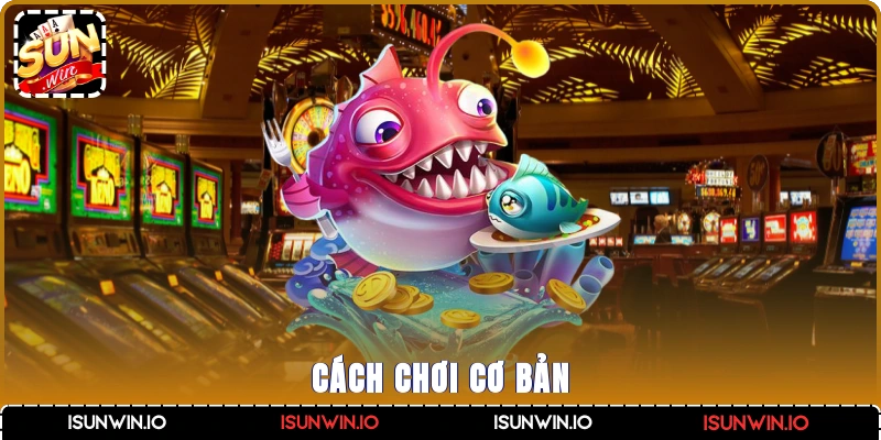 Cách chơi cơ bản