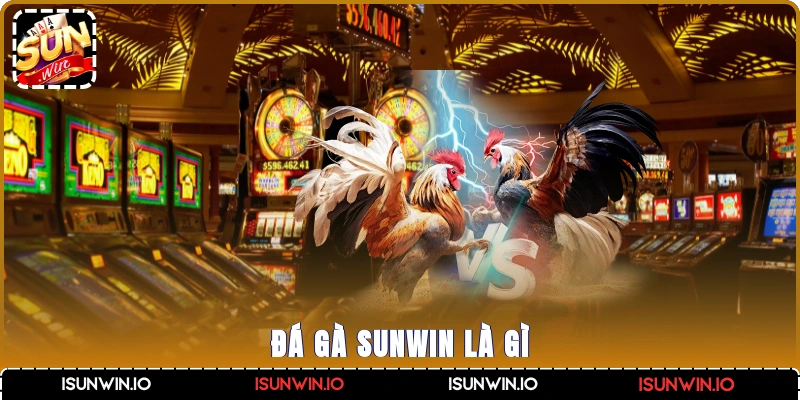 Đá gà Sunwin là gì?