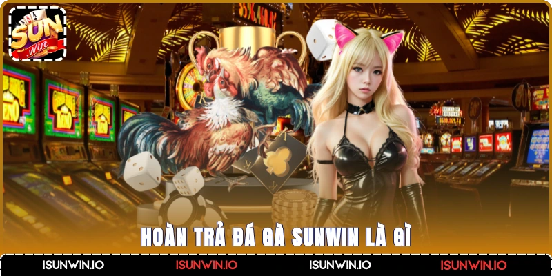 Hoàn trả đá gà Sunwin là gì?