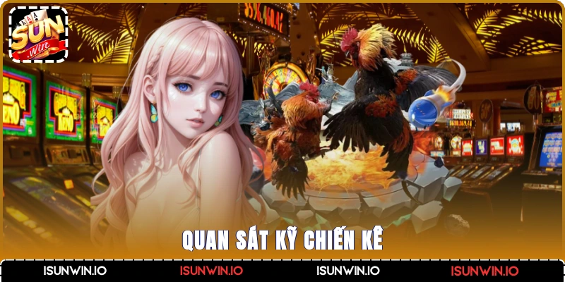 Quan sát kỹ chiến kê